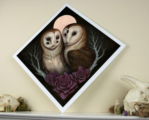 Barn Owl Couple 12 x 12 Fine Art Giclee Print