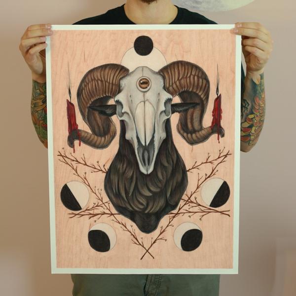 Goat Skull 18 x 24 Fine Art Giclee Print picture
