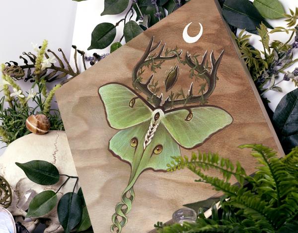 Ancestor Moth 12 x 12 Fine Art Giclee Print on Wood picture