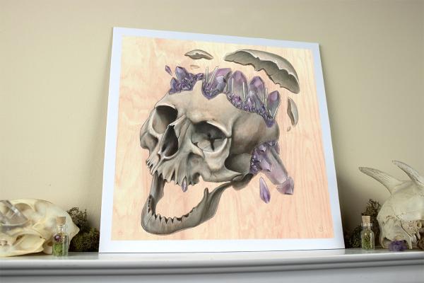 Laughing Skull 12 x 12 Fine Art Giclee Print