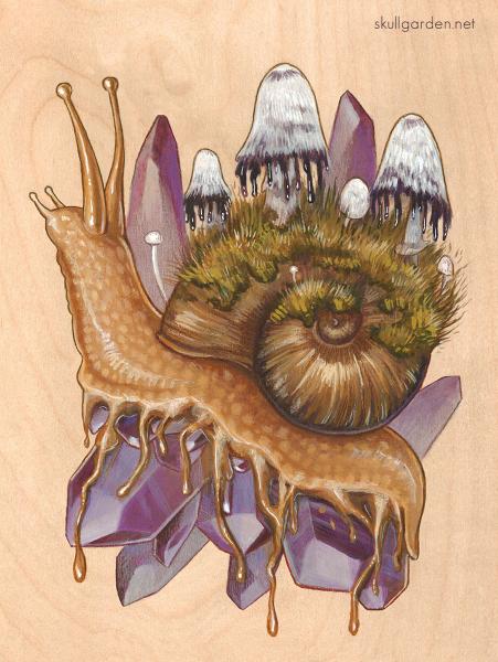 OK Shroomer 11 x 14 Fine Art Giclee Print on Wood picture