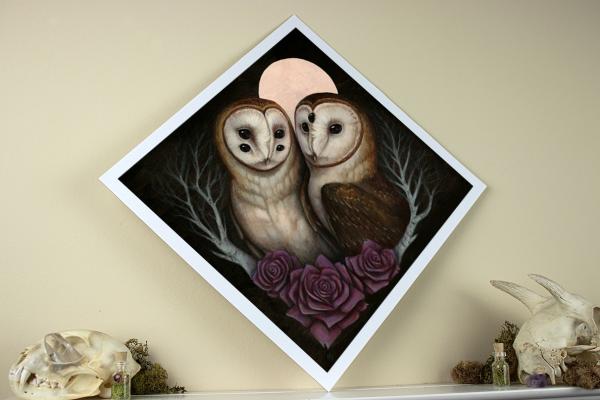 Barn Owl Couple 12 x 12 Fine Art Giclee Print picture