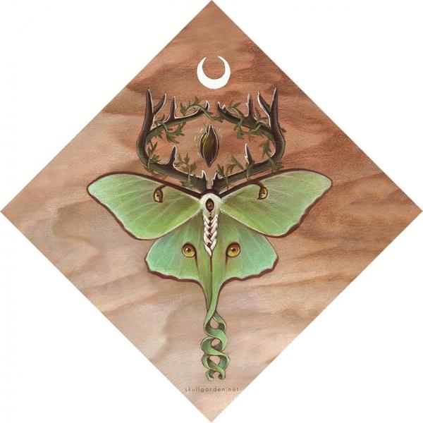 Ancestor Moth 12 x 12 Fine Art Giclee Print on Wood picture