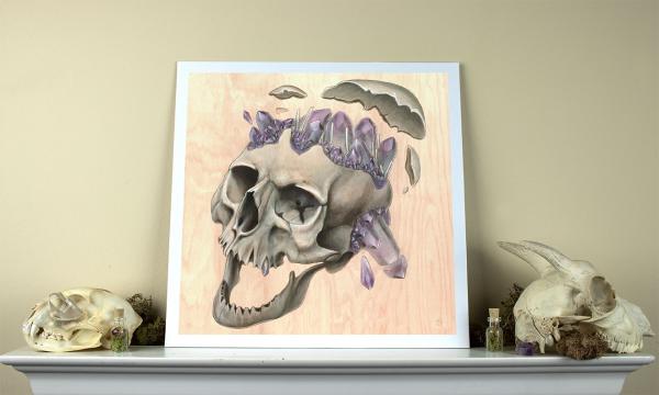 Laughing Skull 12 x 12 Fine Art Giclee Print picture