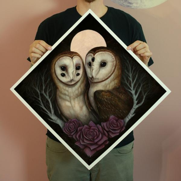 Barn Owl Couple 18 x 18 Fine Art Giclee Print picture