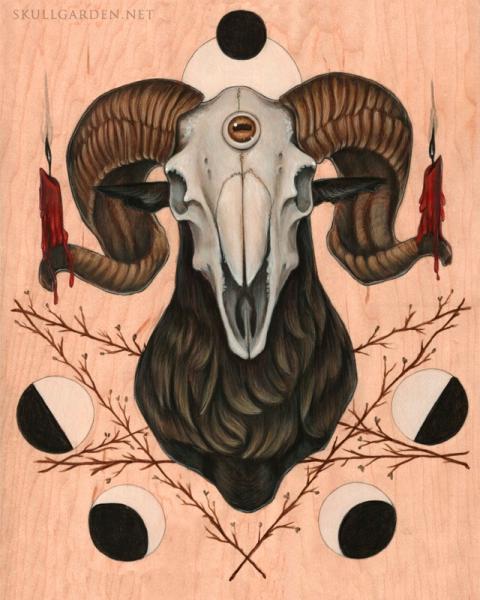 Goat Skull 18 x 24 Fine Art Giclee Print on Wood picture
