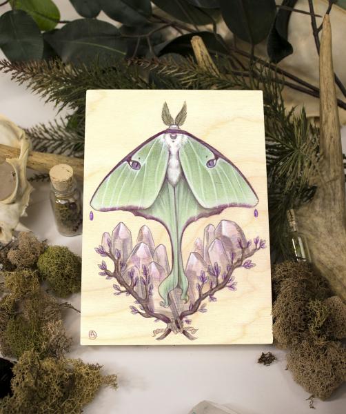 Luna Moth 5 x 7 Fine Art Giclee Print on Wood picture