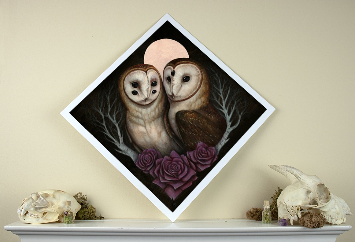 Barn Owl Couple 12 x 12 Fine Art Giclee Print picture