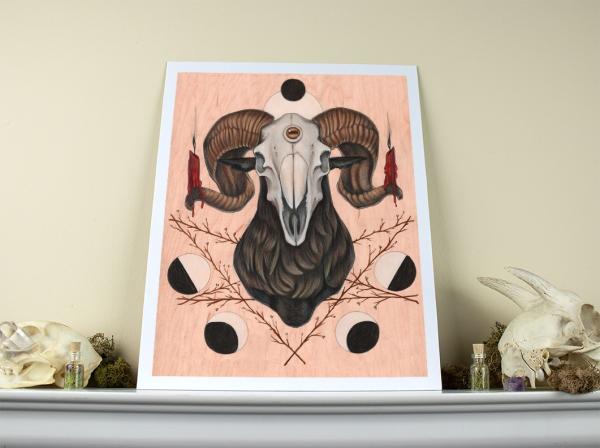 Goat Skull 11 x 14 Fine Art Giclee Print picture
