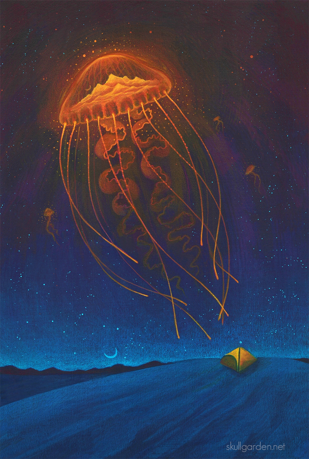 Desert Jelly 18 x 24 Fine Art Giclee Print on Wood picture