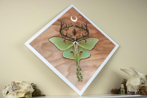 Ancestor Moth 12 x 12 Fine Art Giclee Print picture