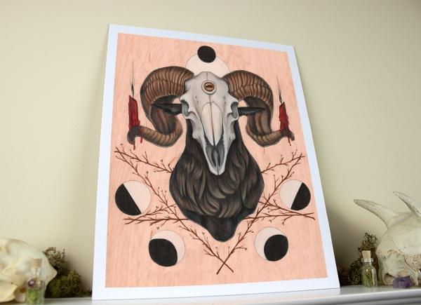 Goat Skull 11 x 14 Fine Art Giclee Print picture