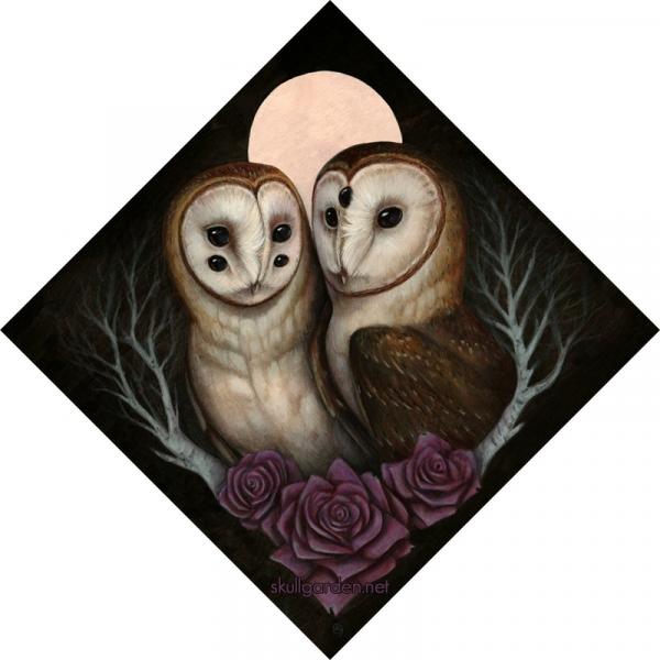 Barn Owl Couple 12 x 12 Fine Art Giclee Print on Wood picture