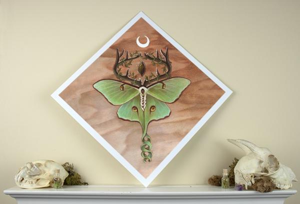 Ancestor Moth 12 x 12 Fine Art Giclee Print picture