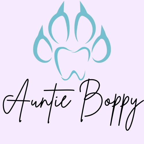 Auntie Boppy Kids Books