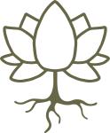 Muddy Lotus