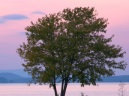 Will Byers Fine Art Photography