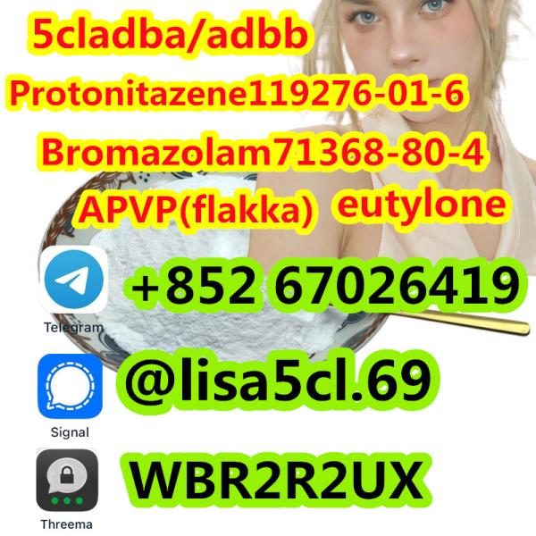 CAS 119276-01-6 Protonitazene (hydrochloride)119276-01-6,Purity99% Tickets