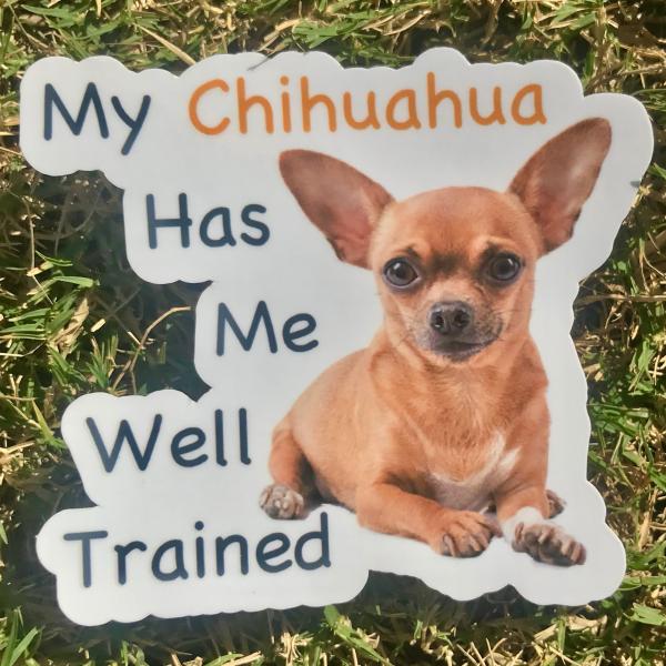 Chihuahua Dog Permanent Vinyl Sticker (Water and UV Proof)