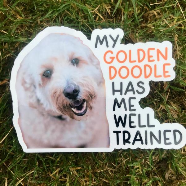 Golden Doodle Dog Permanent Vinyl Sticker (Water and UV Proof)