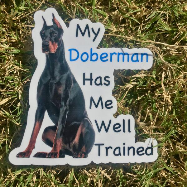 Doberman Dog Permanent Vinyl Sticker (Water and UV Proof)