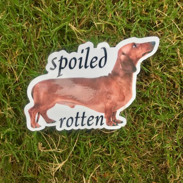 Dachshund Dog Permanent Vinyl Sticker (Water and UV Proof) picture