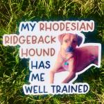 Rhodesian Ridgeback Hound Dog Permanent Vinyl Sticker (Water and UV Proof)