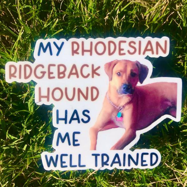 Rhodesian Ridgeback Hound Dog Permanent Vinyl Sticker (Water and UV Proof) picture