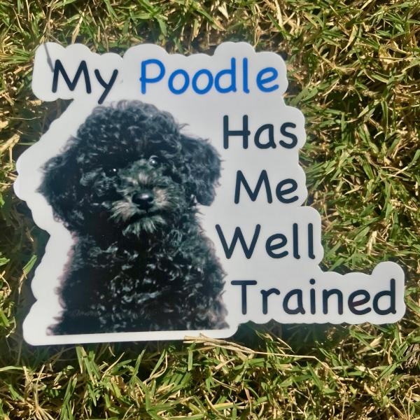 Poodle Dog Permanent Vinyl Sticker (Water and UV Proof)