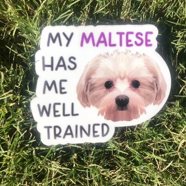 Maltese Dog Permanent Vinyl Sticker (Water and UV Proof)