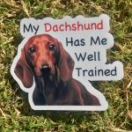 Dachshund Dog Permanent Vinyl Sticker (Water and UV Proof)