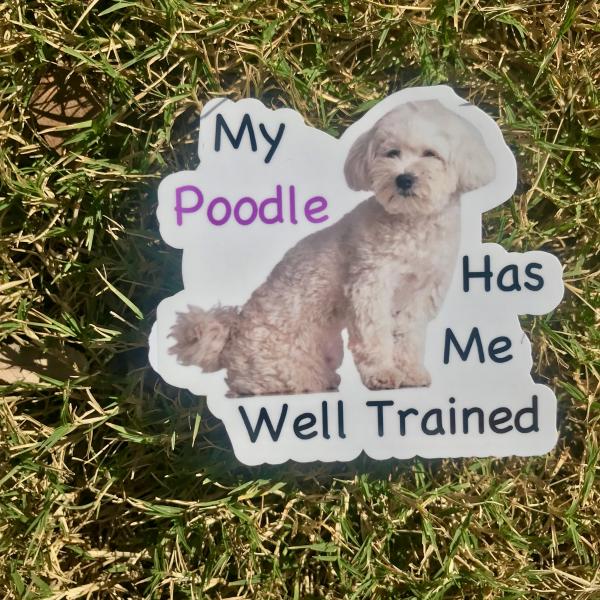 Poodle Dog Permanent Vinyl Sticker (Water and UV Proof)