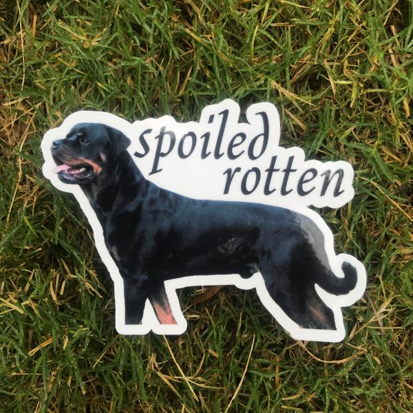 Rottweiler Dog Permanent Vinyl Sticker (Water and UV Proof)