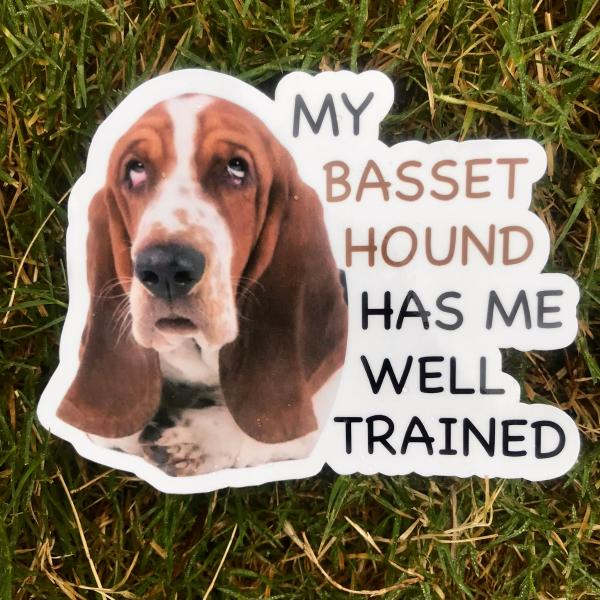 Basset Hound Permanent Vinyl Sticker (Water and UV Proof)