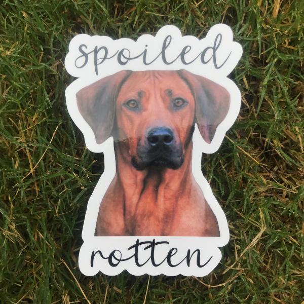 Rhodesian Ridgeback Hound Dog Permanent Vinyl Sticker (Water and UV Proof) picture