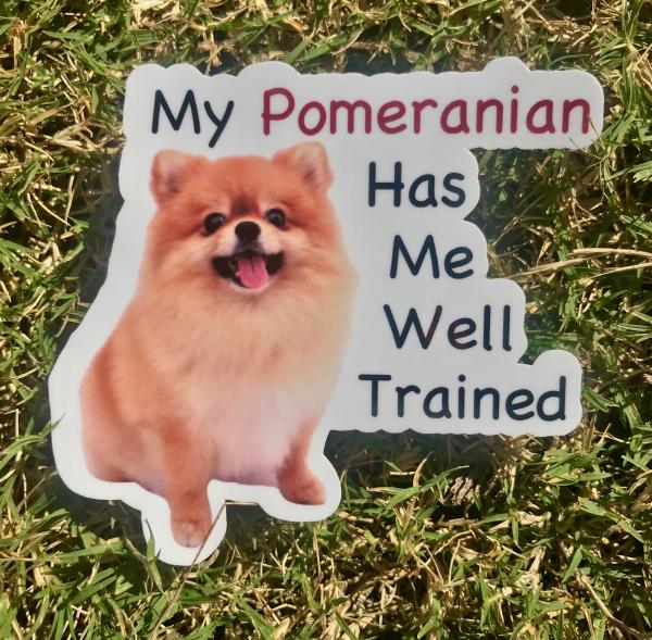 Pomeranian Dog Permanent Vinyl Sticker (Water and UV Proof)