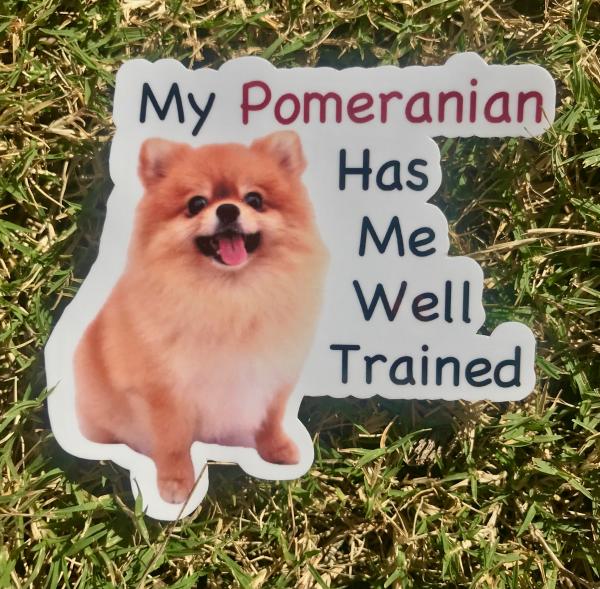 Pomeranian Dog Permanent Vinyl Sticker (Water and UV Proof) picture