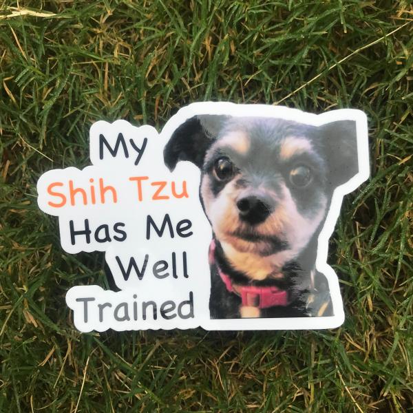 Shih Tzu Dog Permanent Vinyl Sticker (Water and UV Proof) picture