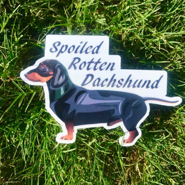 Spoiled Rotten Dachshund Permanent Vinyl Sticker (Water and UV Proof)