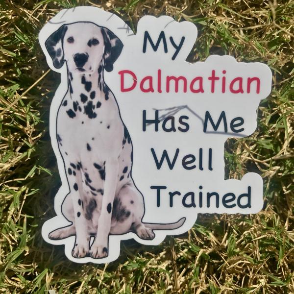 Dalmatian Dog Permanent Vinyl Sticker (Water and UV Proof)