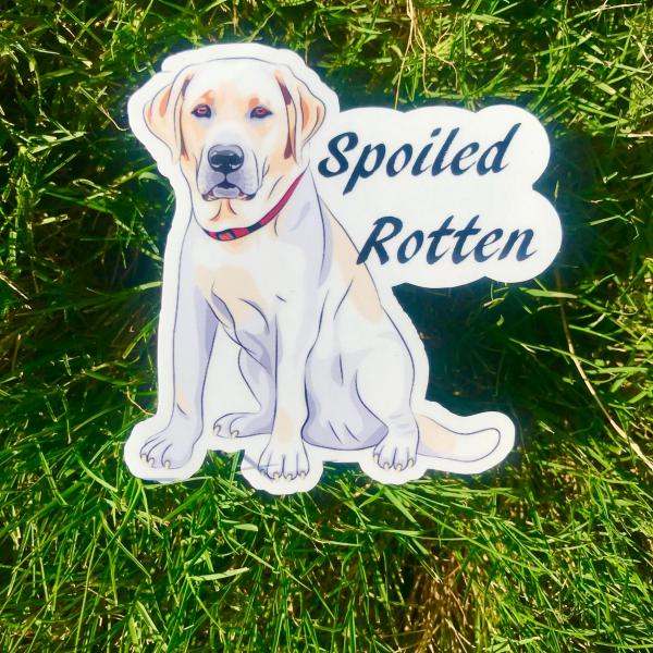Spoiled Rotten Labrador Dog Permanent Vinyl Sticker (Water and UV Proof)