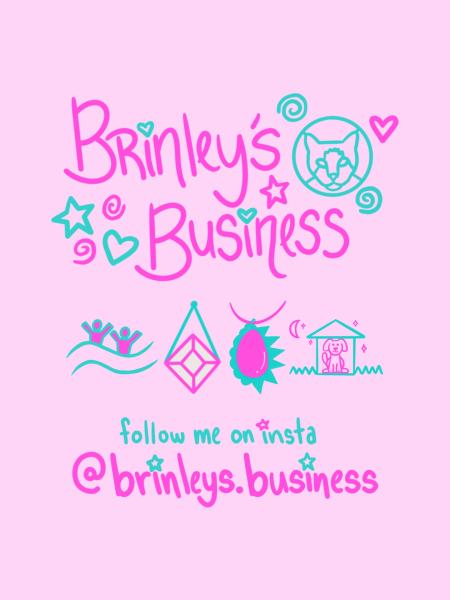 Brinley&rsquo;s Business