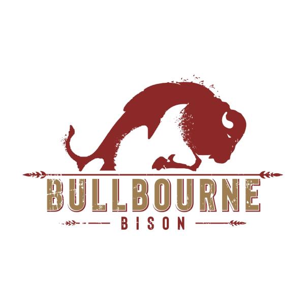 Bullbourne Bison