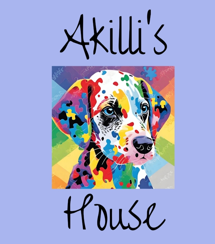Akilli's House