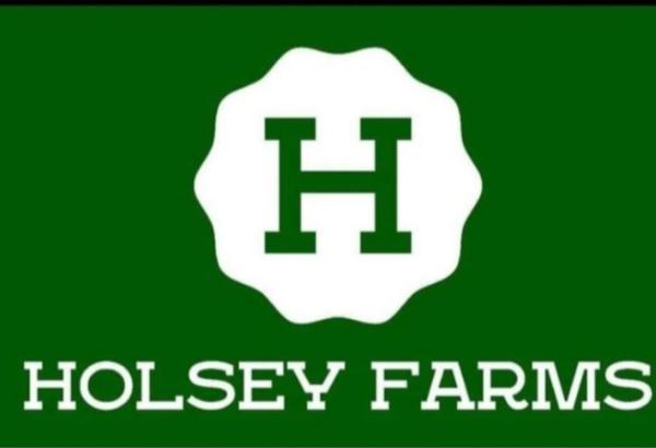 Holsey Farms LLC