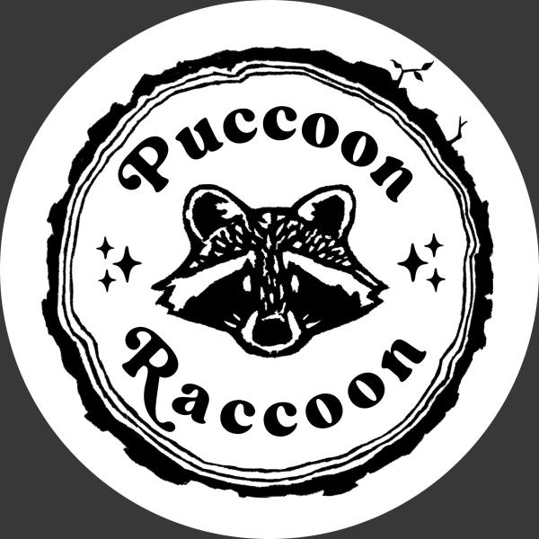 Puccoon Raccoon