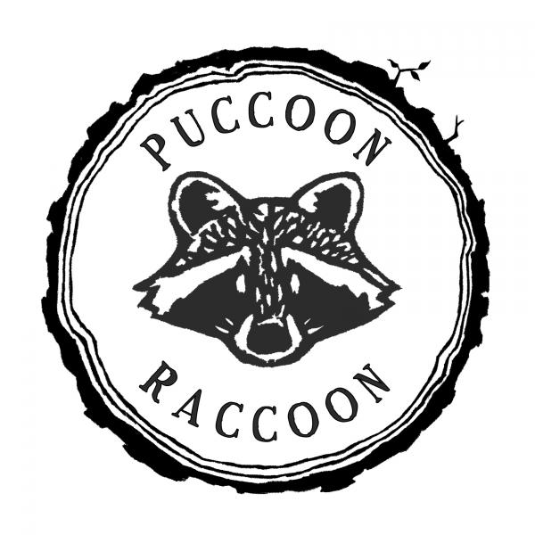 Puccoon Raccoon