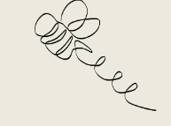The Beez Kneez Co