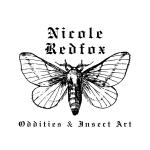 Nicole Redfox Oddities
