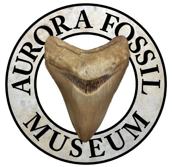 Aurora Fossil Museum